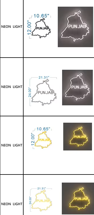 Neon LED Punjab Map decor light
