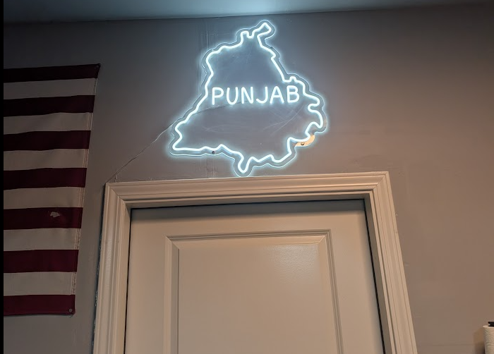 Neon LED Punjab Map decor light